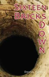 Sixteen Bricks Down