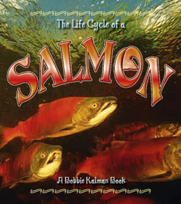 The Life Cycle of a Salmon