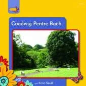 Coedwig Pentre Bach