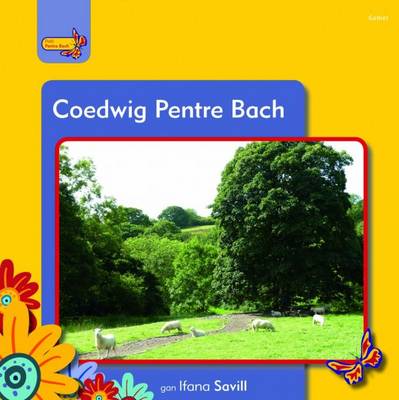 Coedwig Pentre Bach
