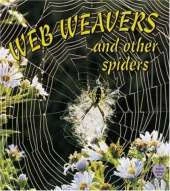 Web Weavers and Other Spiders