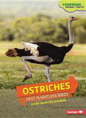 Ostriches: Fast Flightless Birds