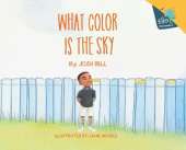 What Color is the Sky