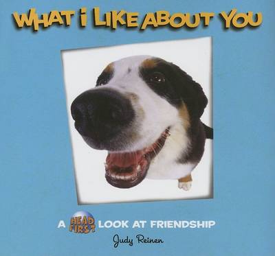 What I Like About You: A Head First Look at Friendship