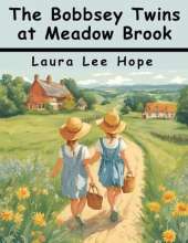 The Bobbsey Twins at Meadow Brook