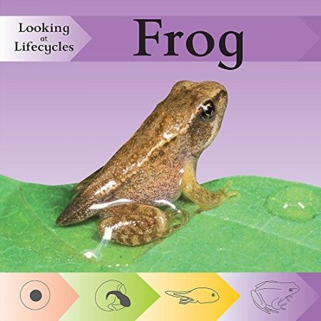Looking at Lifecycles: Frog