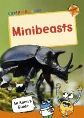 Minibeasts: (Orange Non-fiction Early Reader)