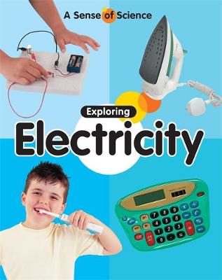 A Sense of Science: Exploring Electricity