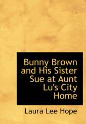 Bunny Brown and His Sister Sue at Aunt Lu's City Home