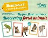My First Flash Cards Box: Discovering Forest Animals - Montessori World of Achievements