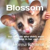Blossom: the possum who didn't want to sleep in her own bed