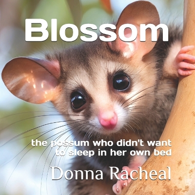 Blossom: the possum who didn't want to sleep in her own bed