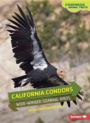 California Condors: Wide-Winged Soaring Birds