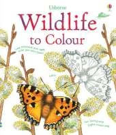 Wildlife to Colour