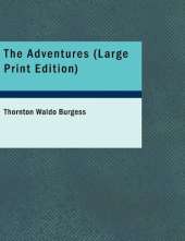 The Adventures (Large Print Edition)