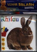 Rhifau