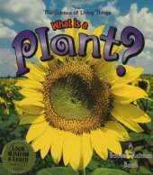 What is a Plant?