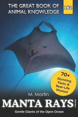 Manta Rays for Kids: Gentle Giants of the Open Ocean