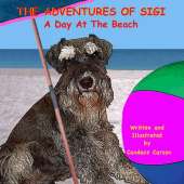 A Day at the Beach