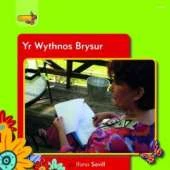 Yr Wythnos Brysur