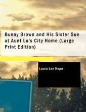 Bunny Brown and His Sister Sue at Aunt Lu's City Home