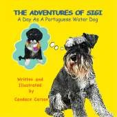 A Day as a Portuguese Water Dog
