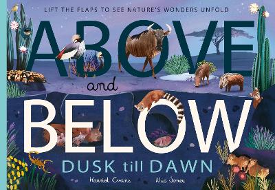 Above and Below: Dusk till Dawn: Lift the flaps to see nature's wonders unfold
