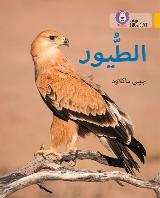 Birds: Level 9
