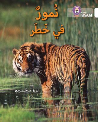 Tigers in Danger: Level 10