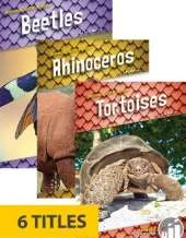 Animals with Armor (Set of 6)