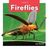 Insects: Fireflies