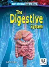 Digestive System