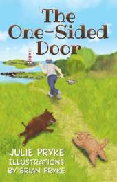 The One-Sided Door