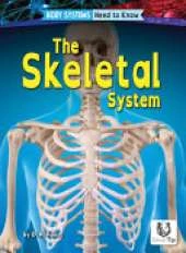 Skeletal System