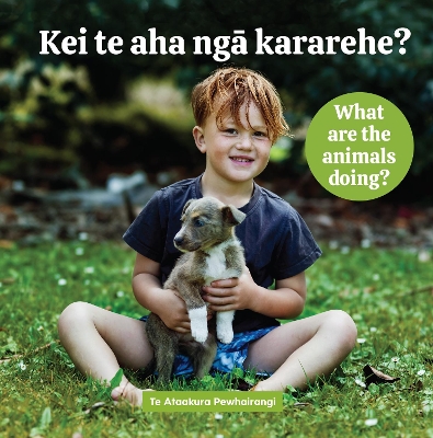 Kei te aha ngā kararehe? What are the animals doing?