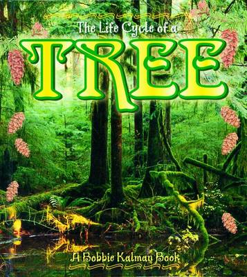 The Life Cycle of a Tree