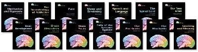 Gray Matter Set