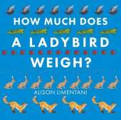 How Much Does a Ladybird Weigh?