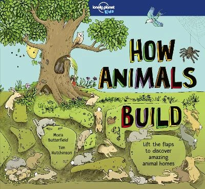 Lonely Planet Kids How Animals Build: Lift the Flaps & Discover Amazing Creature Homes | Explore Bird Nests, Ant Colonies, Spider Webs | Beautiful Illustrations & Fun Facts