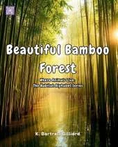 Beautiful Bamboo Forest: Where Animals Live: The Habitat Alphabet Series