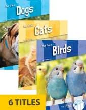 Pet Care (Set of 6)