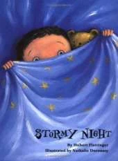 Stormy Night