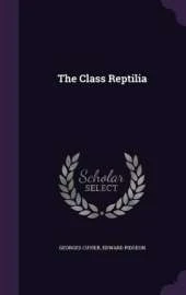 The Class Reptilia