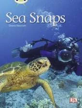 Bug Club Non-fiction Green A/1B Sea Snaps 6-pack