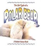 The Life Cycle of a Polar Bear