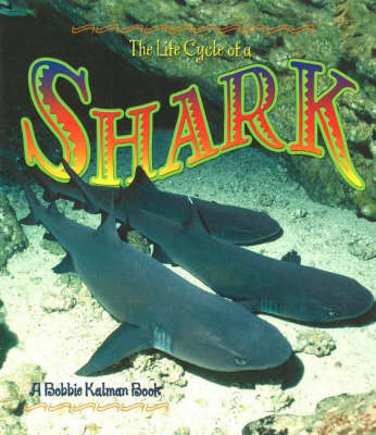 The Life Cycle of a Shark