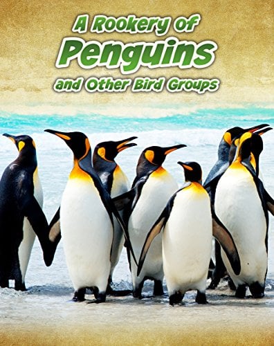 Animals in Groups Pack A of 4