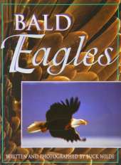Bald Eagles