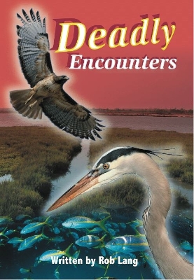 Deadly Encounters