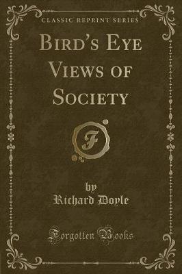 Bird's Eye Views of Society (Classic Reprint)